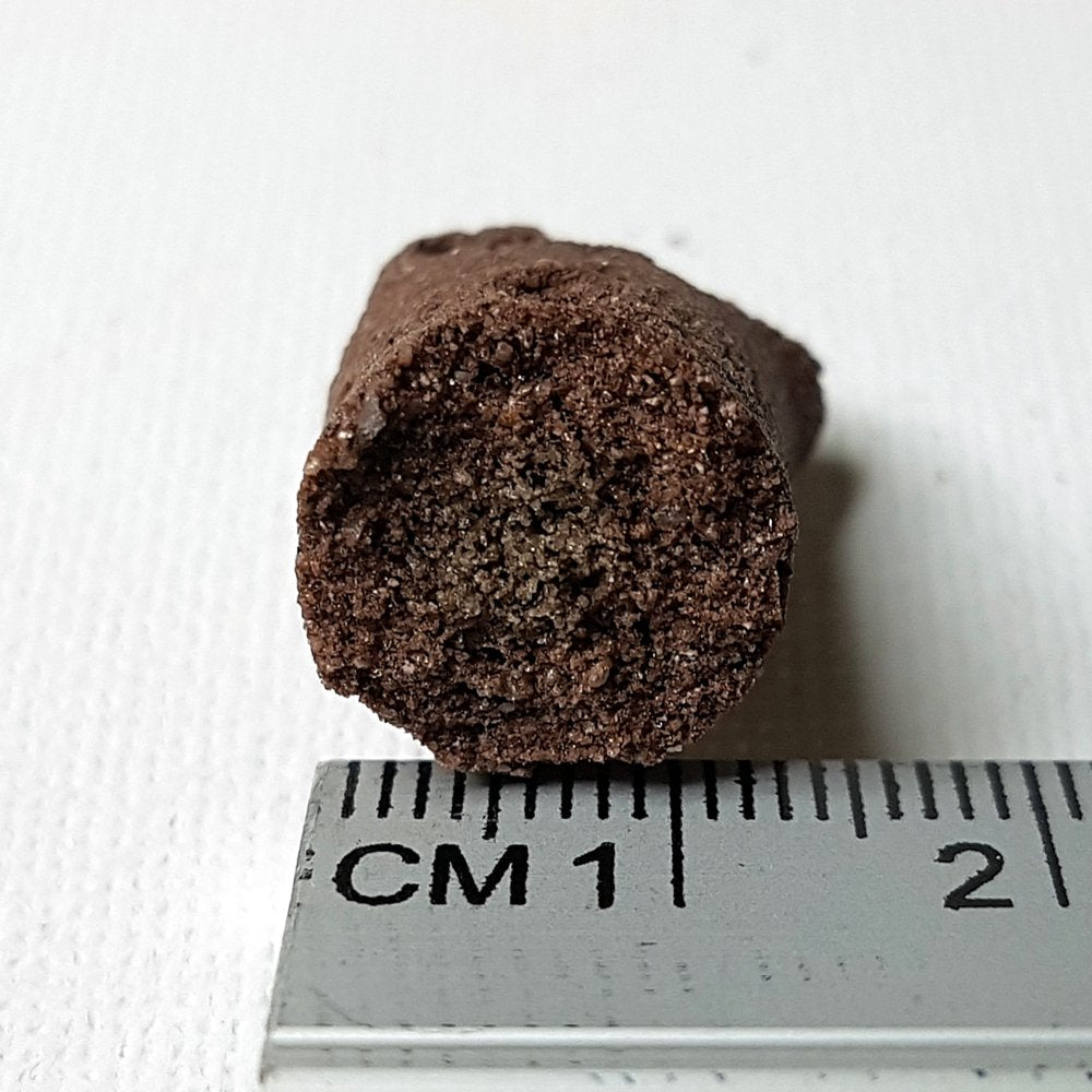 Biohome Ultimate Marine