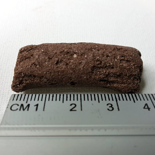 Biohome Ultimate Marine