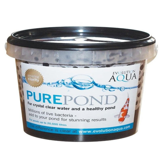 Gelierte Filter Starterbälle