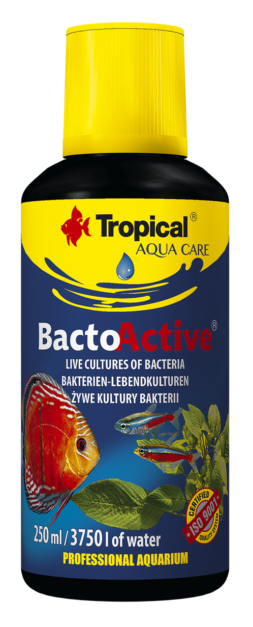 Bacto-Active 250 ml