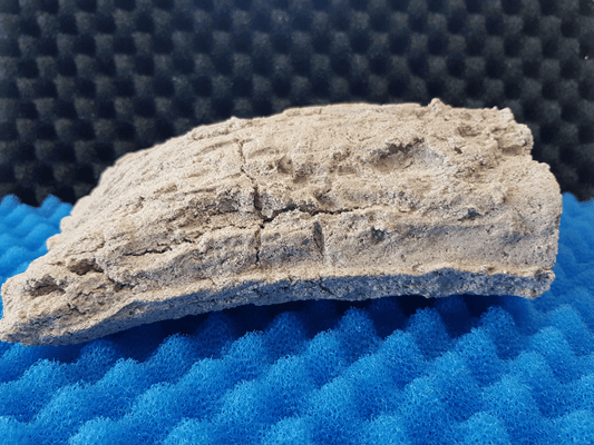 Biohome Zuchthöhle groß Grau geschlossen – Ansicht 2