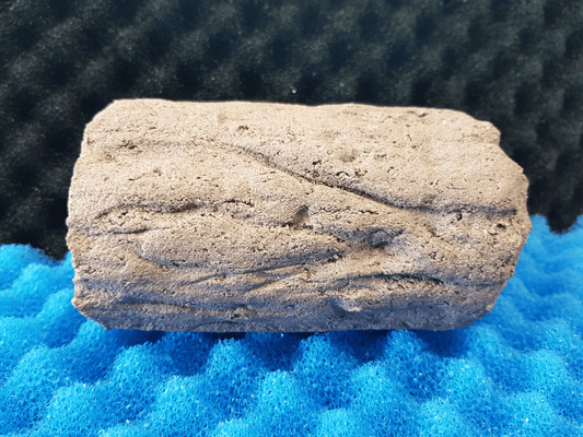 Biohome Zuchthöhle klein Lila geschlossen – Ansicht 2