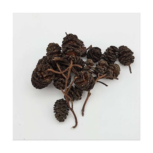 Erlenzapfen 50 g für Aquarien
