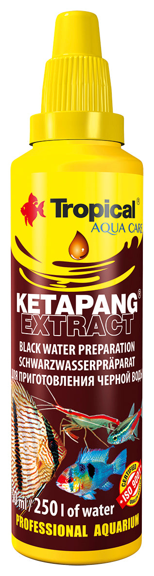 Ketapang Extract 250 ml